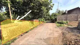 TANAH KAVLING STRATEGIS DI TEGAL BADENG TIMUR JEMBRANA
