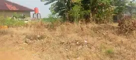 Dijual Tanah / Kavling di Rorotan, Kec.Cilincing, Jakarta Utara.