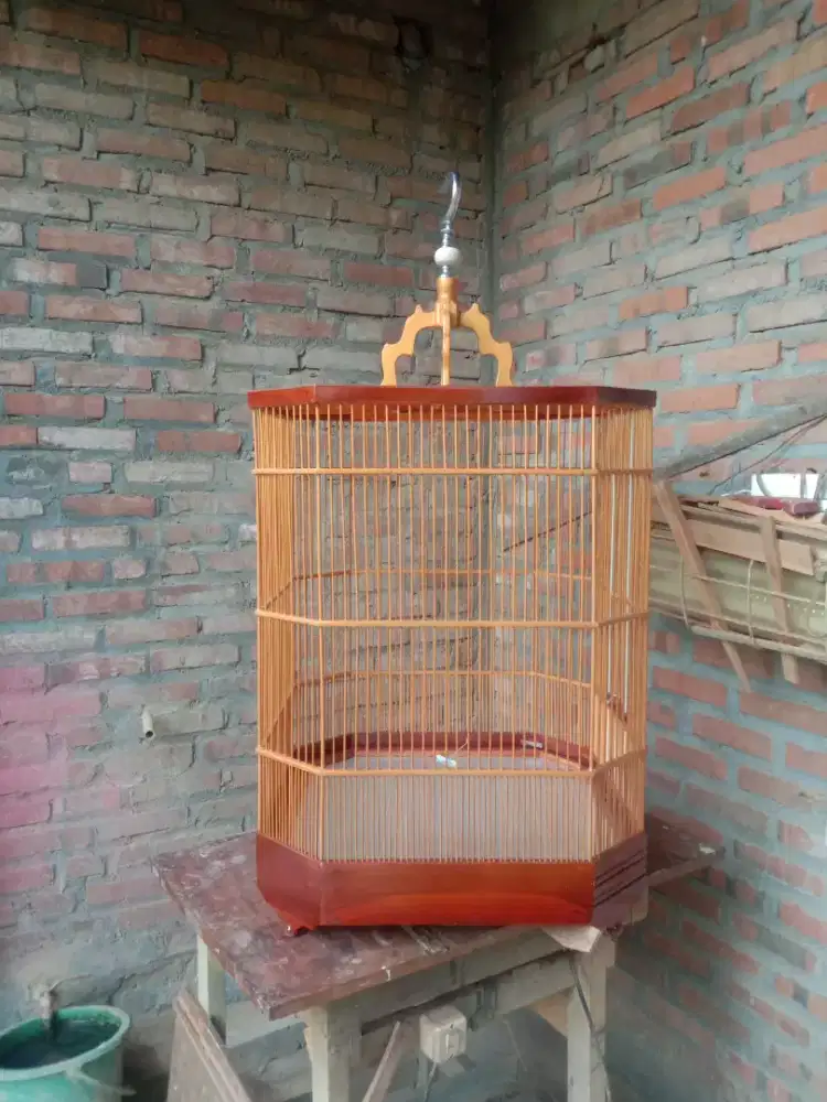 Sangkar jati ruji2 rapat