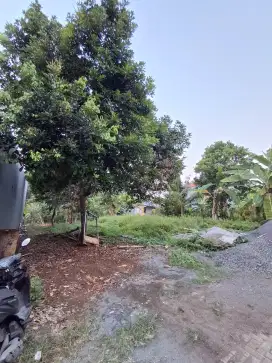 Dijual Tanah dekat Kampus UNNES