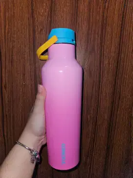 Corkcicle pink pop