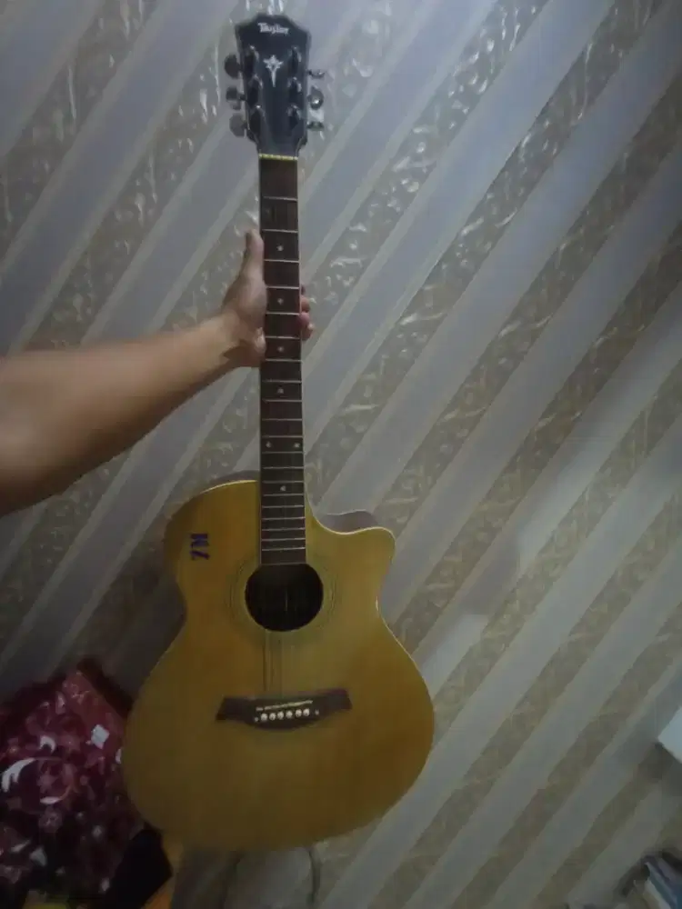 jual gitar taylor