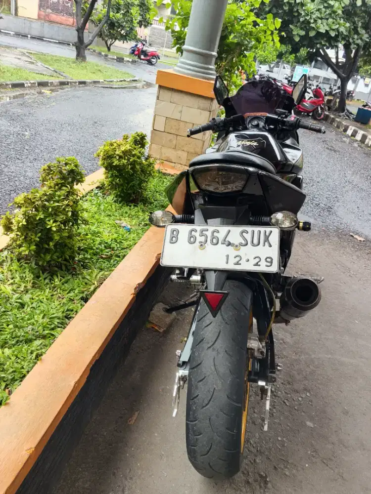 Kawasaki Ninja 250 Karbu