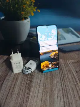 Vivo v29e 5g Ram 8/256