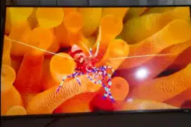 Smart tv Samsung Qled 43 harga tv LED biasa