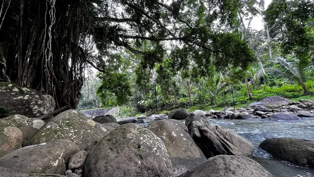 Jual tanah luas kecil view sungai cantik di tabanan Bali.