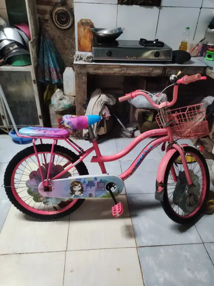 Dijual sepeda anak