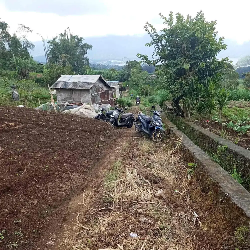 Dijual lahan super langka, dengan hawa sejuknya beseta view yg memanjakan mata.. dikawan obyek wisata Bedugul