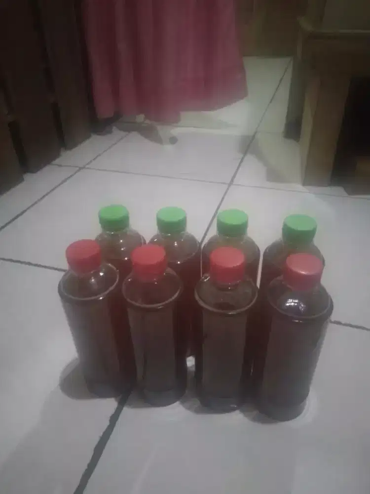 Madu asli dari hutan