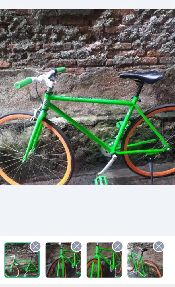 Fixie everygreen
