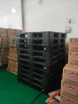 Pallet Plastik second bagus dan murah