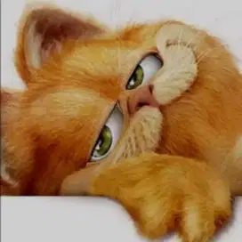 Cat Boy / ngurus kucing