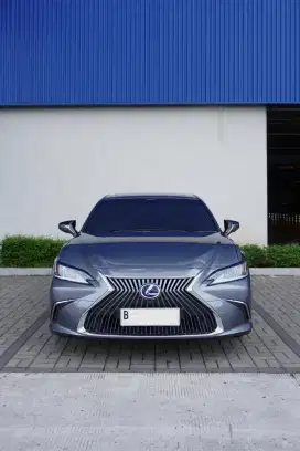 Lexus ES 300h Ultra Luxury 2019