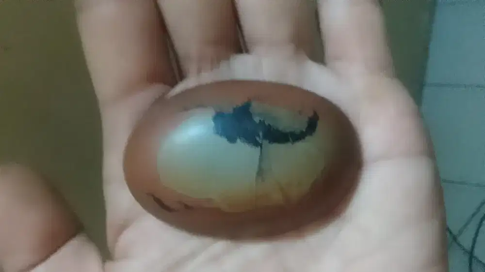 Batu bergambar duyung