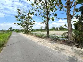 Dekat Resto Pawon Mbah Gito, Jual Murah Tanah SHMP