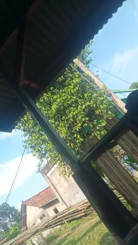 Mencari lowongan pekerjaan