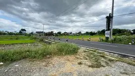 Tepi Aspal Jl Godean KM 8 Dekat Pasar Godean
