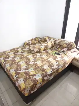 Springbed CENTRAL 160 Set Dipan