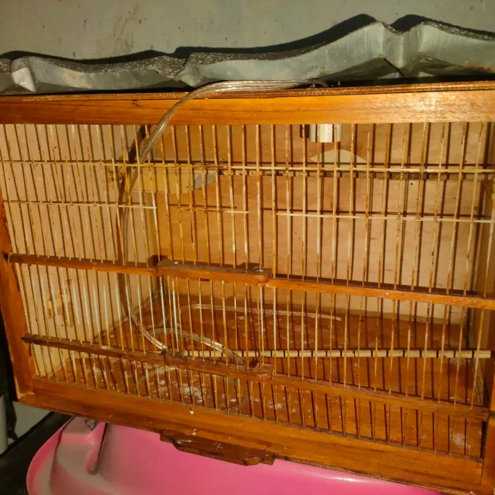 Ex kandang ternak kayu