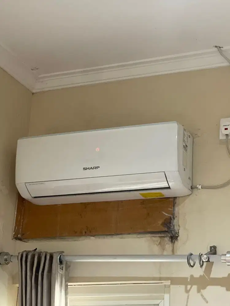 Ac sharp 1/2 PK