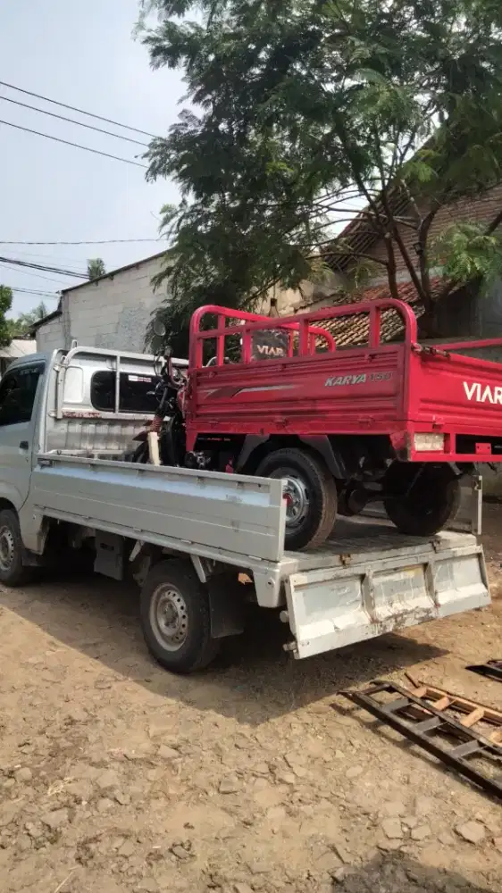 viar roda tinga