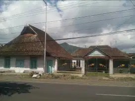 DIJUAL RUMAH + RUMAH BURUNG DI KALIBARU-BANYUWANGI LOKASI SANGAT BAGUS