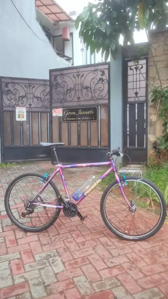 Sepeda Federal AlleyCat