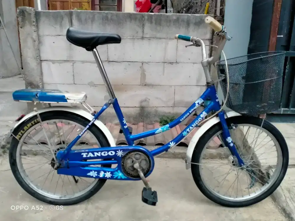 Sepeda keranjang ukuran 20 inchi