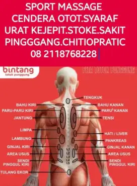 Sport Massage Terapi pijat acupresure Chitiopratic