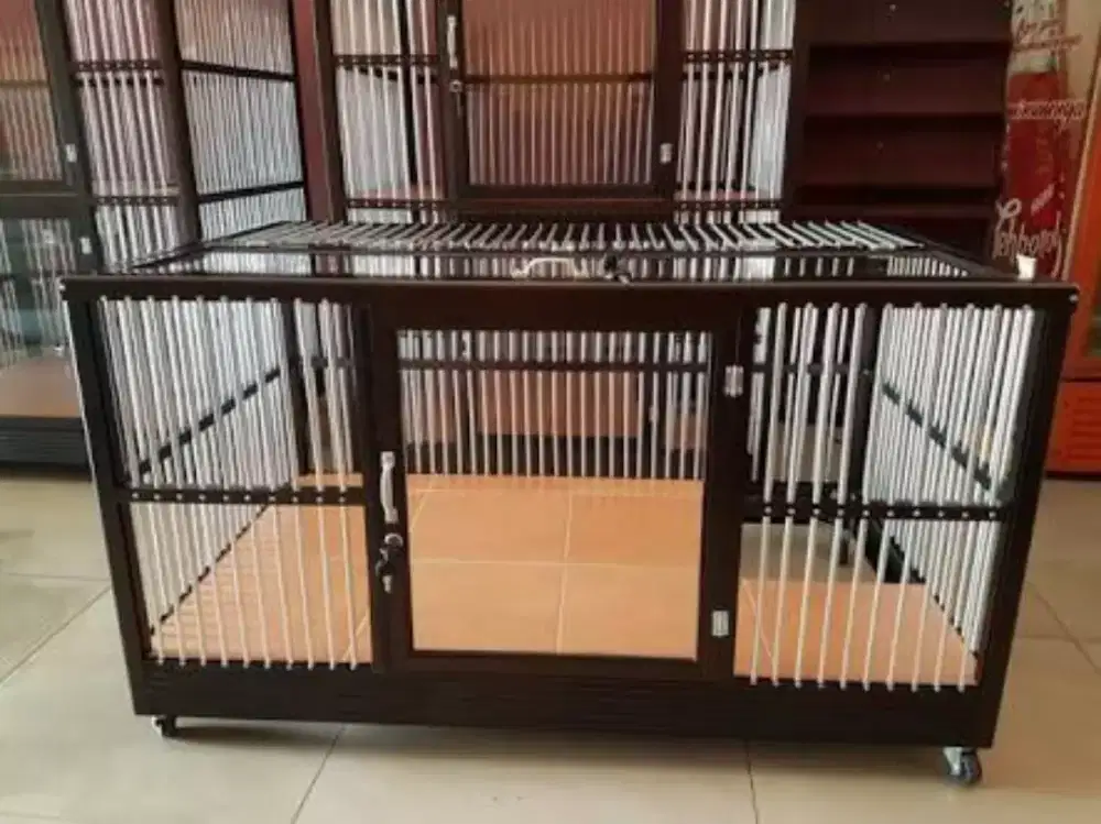 Kandang anjing baru