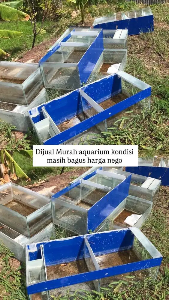 Dijual aquarium murah
