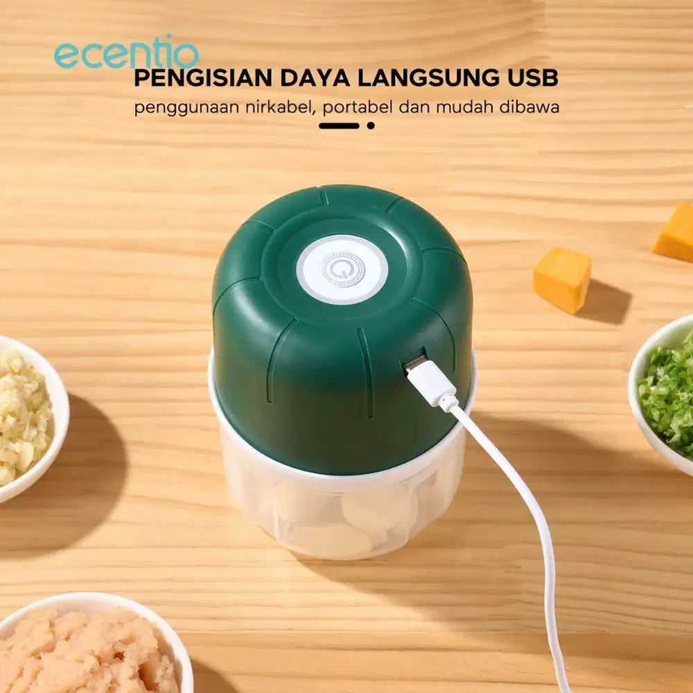 Blender Portable Gilingan Bumbu dan Daging 250 ml Ecentio USB