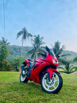 Ninja karbu 250