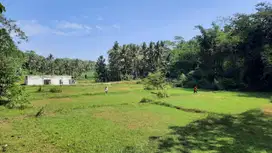Dekat Sentolo View Tanah Kavling Strategis Legalitas Aman