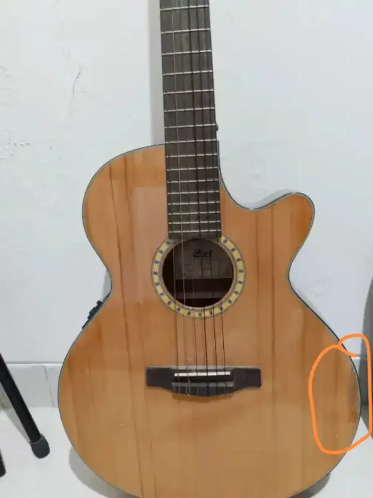 Cort CEC5 bonus ampli troubadors