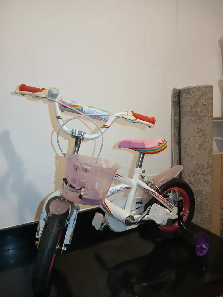 Sepeda Anak Roda 3