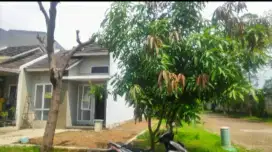 RUMAH HOOK MURAH  JAYA IMPERIAL GREEN