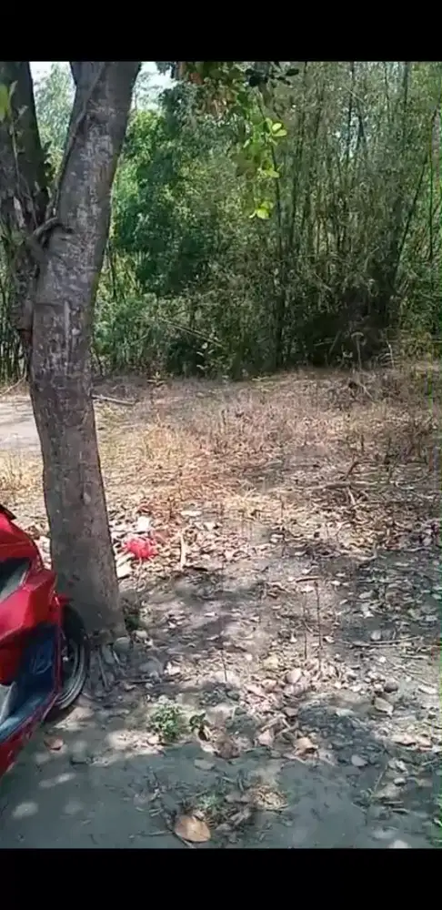 Dijual tanah MURAH. sebelah jalan raya ngembeh mojokerto luas 420M2.