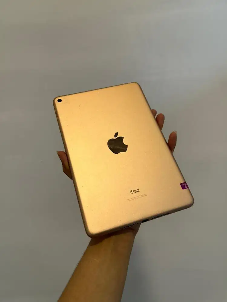 iPad mini Gen 5