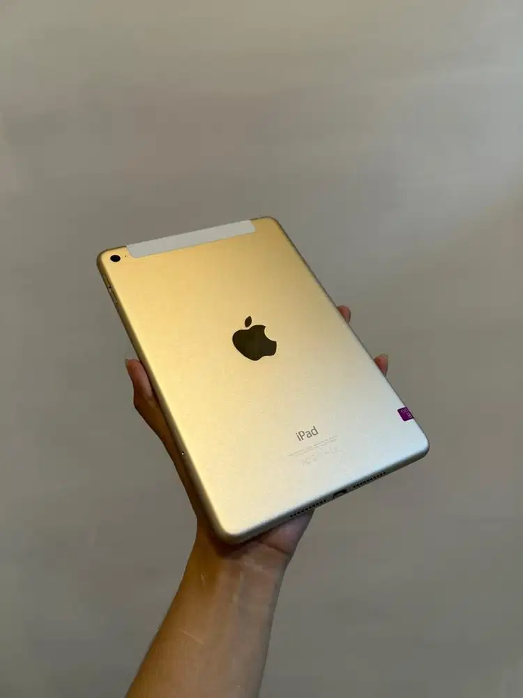 iPad mini Gen 4