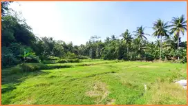 Nanggulan, Tanah Dijual Dekat Gamplong Studio Alam