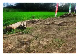 SHM Siap AJB Tanah Di Pandaran Dekat UII Salan Kaliurang