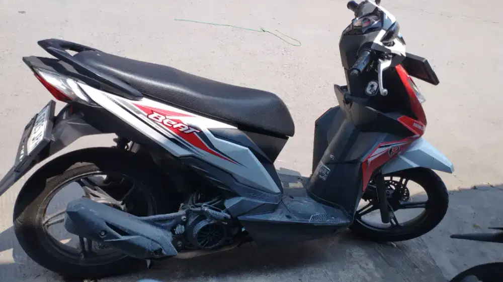 Motor beat 2019