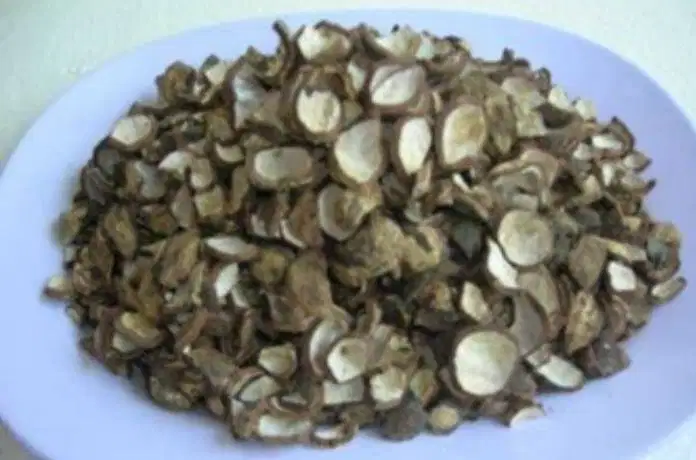 Cangkang kemiri