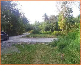 Panjatan Kulon Progo Tanah Jogja Murah Cocok Untuk Villa