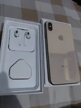 IPHOBE XS MAX GOLD
