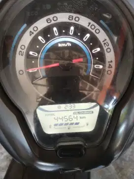 Scoopy Stylish 2021