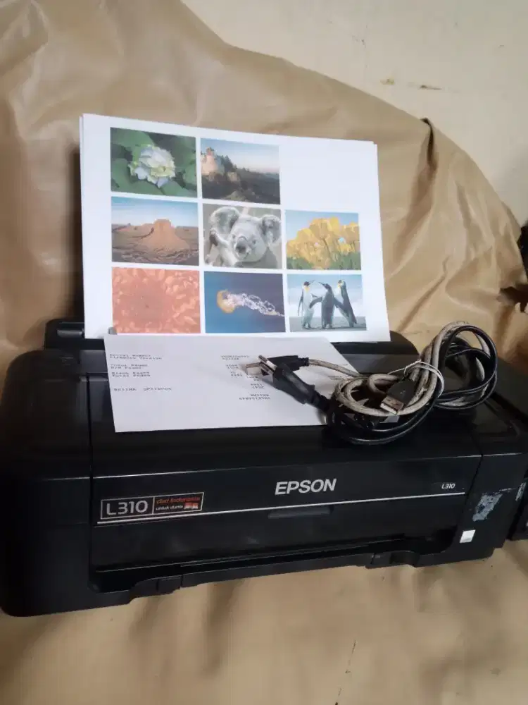 Epson L310 ( infus pabrik ) print saja