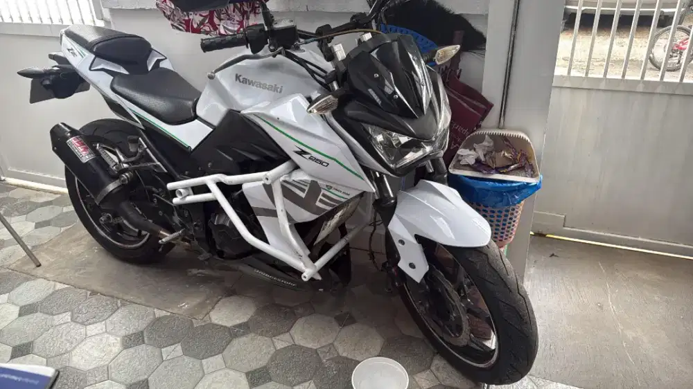 motor Kawasaki z250