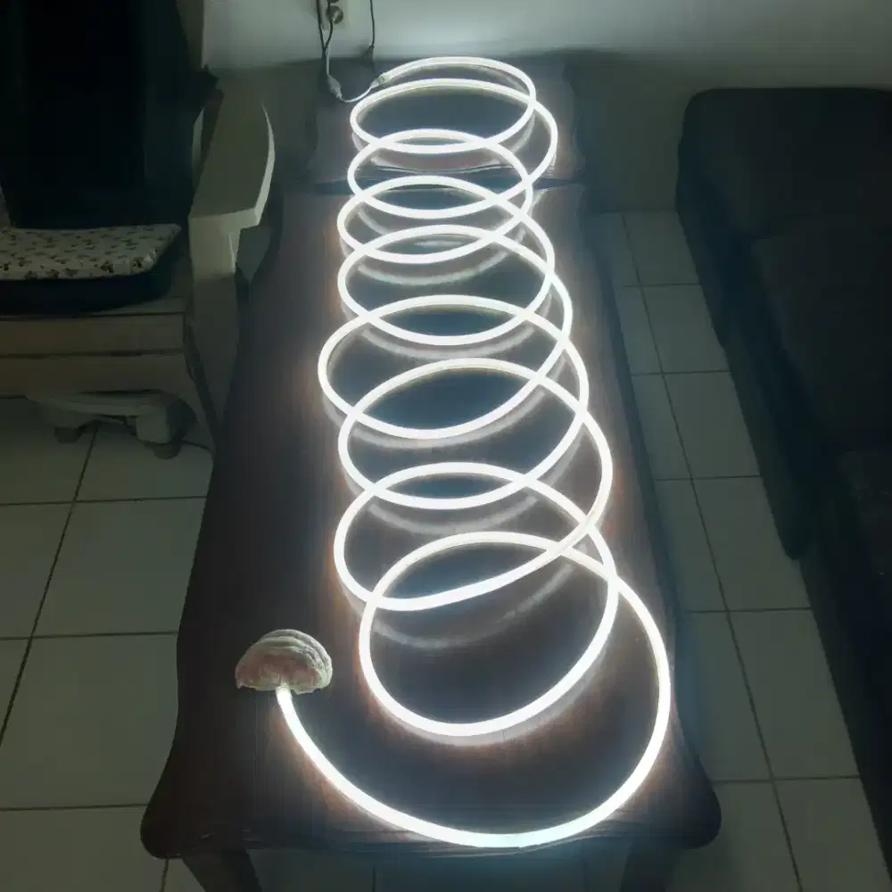 Neon LED Flex 360 Putih 10m